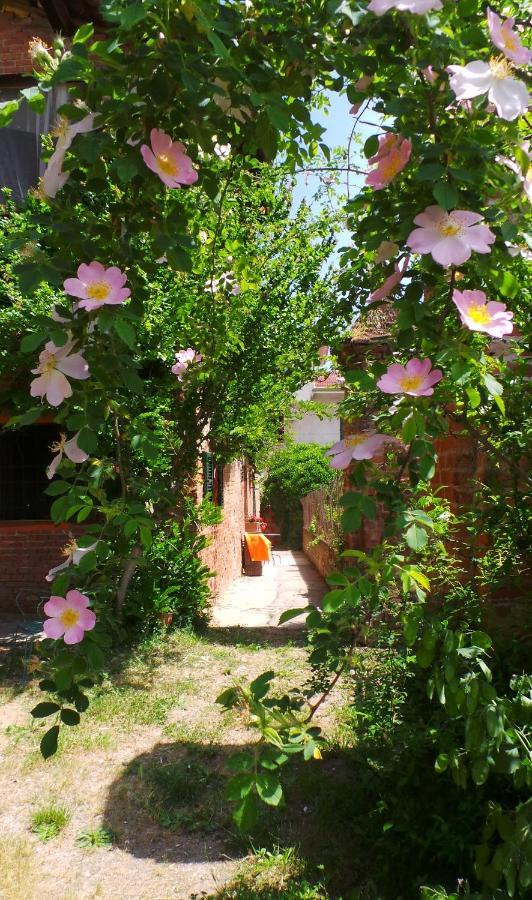 Agriturismo Olivazzi Quattordio Extérieur photo